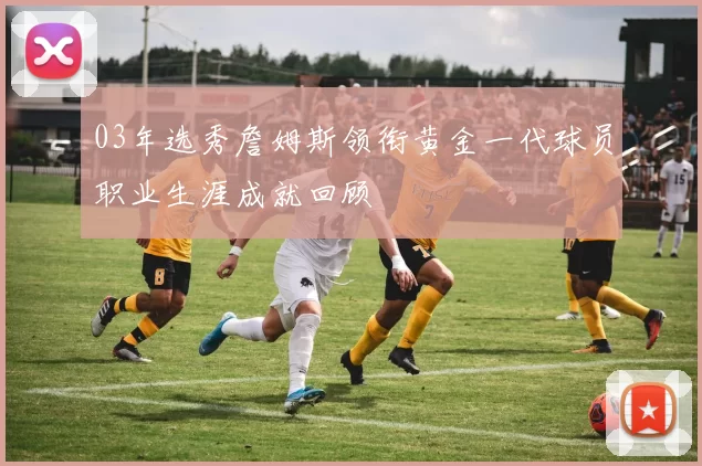 03年选秀詹姆斯领衔黄金一代球员职业生涯成就回顾